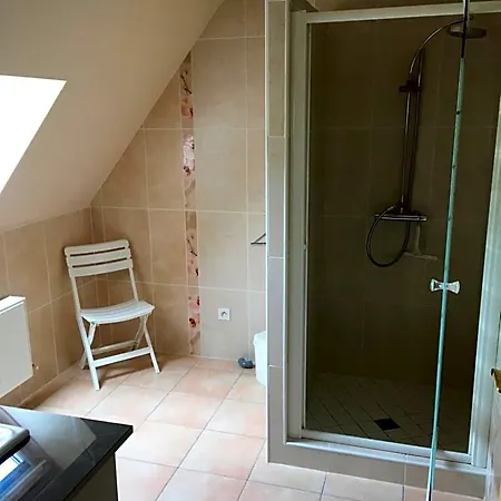 Chez Bernadette Et Victor 3* ויטראק
